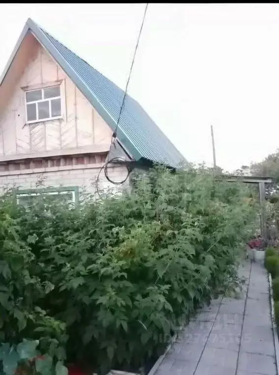 Дом в Курганская область, Кетовский муниципальный округ, с. Лесниково, ... - Фото 1