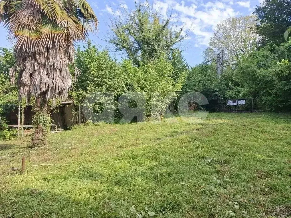 Участок в Краснодарский край, Сочи городской округ, с. Прогресс ул. ... - Фото 1