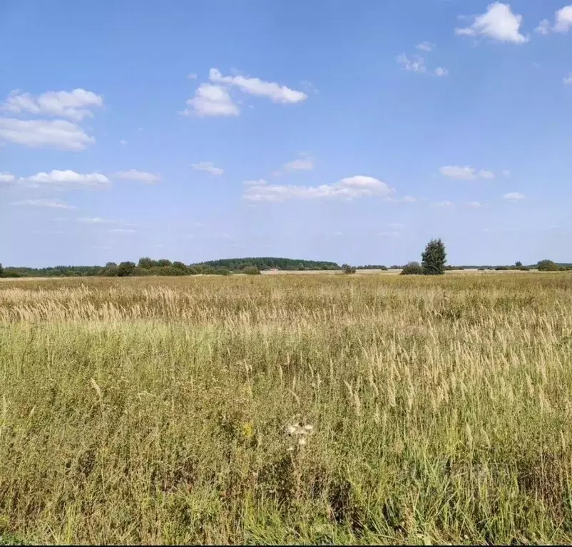 Участок в Московская область, Коломна городской округ, с. Коробчеево  ... - Фото 1