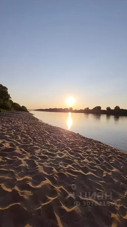 Участок в Тульская область, Ясногорский район, Иваньковское ... - Фото 0