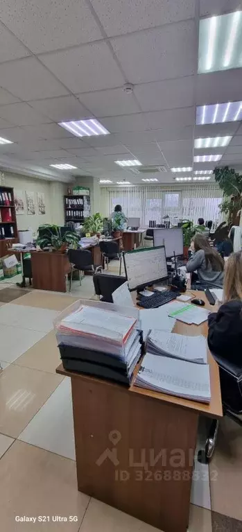 Помещение свободного назначения в Ямало-Ненецкий АО, Новый Уренгой ... - Фото 1