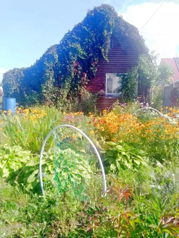 Дом в Пермский край, Пермь  (36 м) - Фото 1