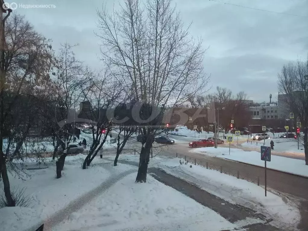 1-комнатная квартира: Тюмень, Рижская улица, 67 (31.3 м) - Фото 1