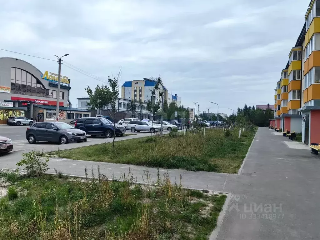 Студия Ямало-Ненецкий АО, Ноябрьск Холмогорская ул., 68 (30.4 м) - Фото 1
