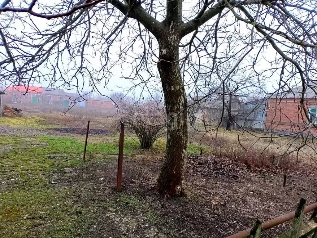 Дом в Краснодарский край, Ейский район, с. Кухаривка  (43 м) - Фото 1