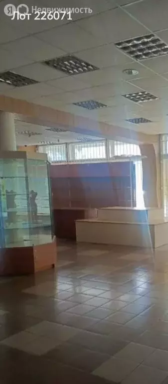 Помещение свободного назначения (385 м) - Фото 1