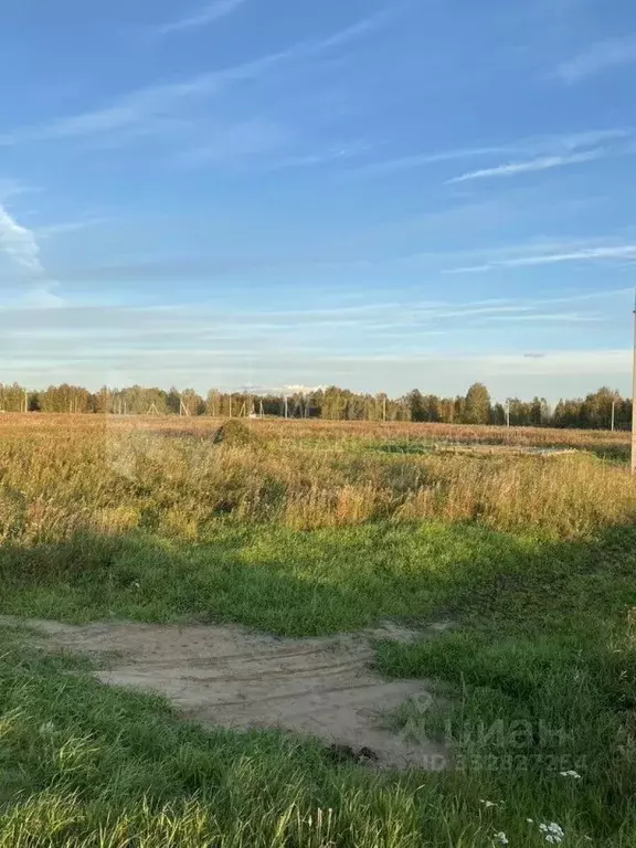 Участок в Тюменская область, Тюменский муниципальный округ, ... - Фото 2