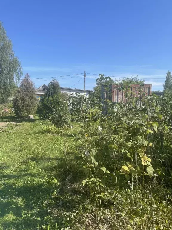 Участок в Смоленская область, Смоленский муниципальный округ, д. ... - Фото 0