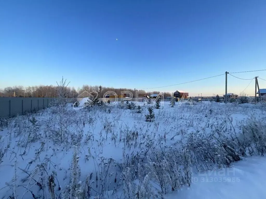 Участок в Тюменская область, Нижнетавдинский район, с. Тюнево  (7.0 ... - Фото 0