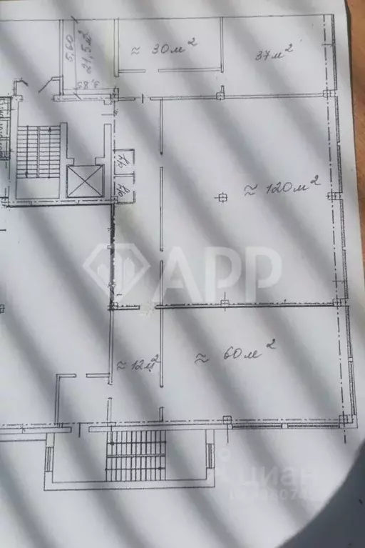 Помещение свободного назначения в Брянская область, Брянск ... - Фото 2