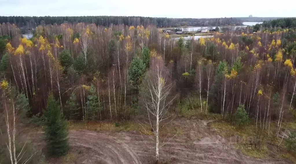 Участок в Тверская область, Калязинский муниципальный округ, д. ... - Фото 2