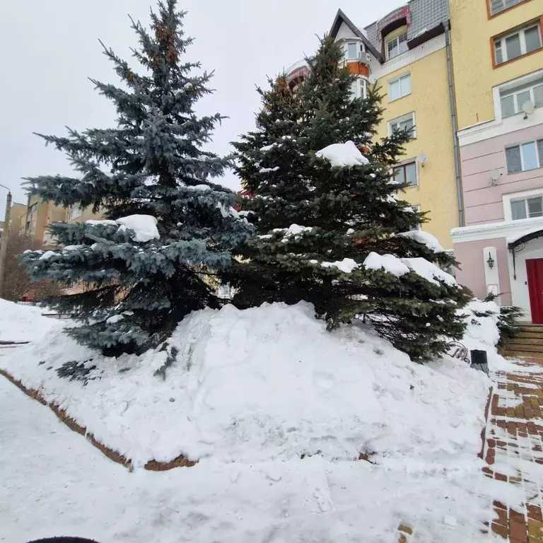 2-к кв. Брянская область, Брянск Ямская ул., 23 (61.2 м) - Фото 2