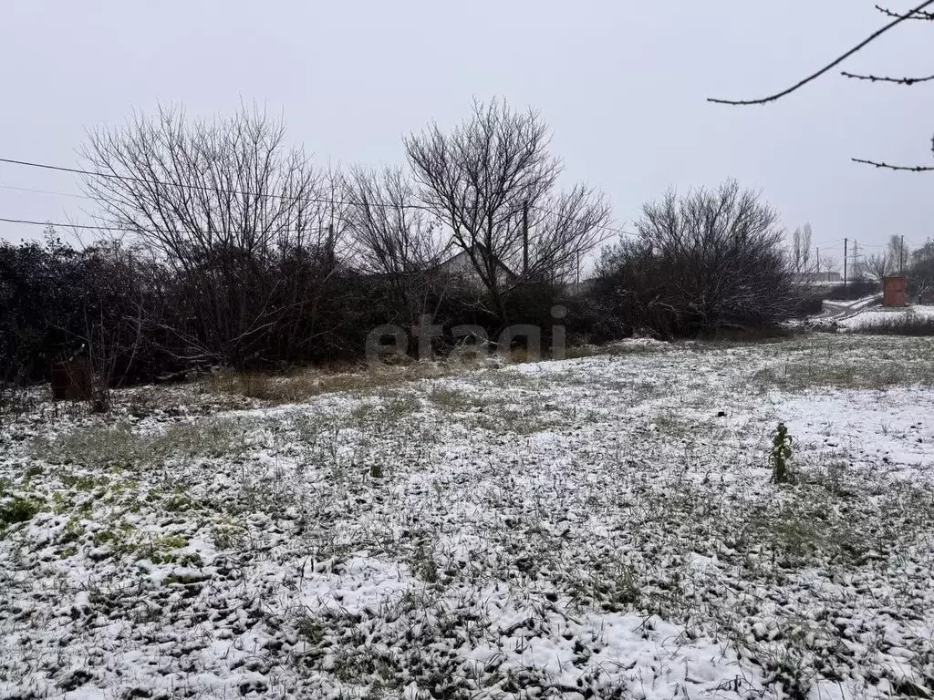 Дом в Белгородская область, Белгородский район, Разумное рп ул. ... - Фото 1