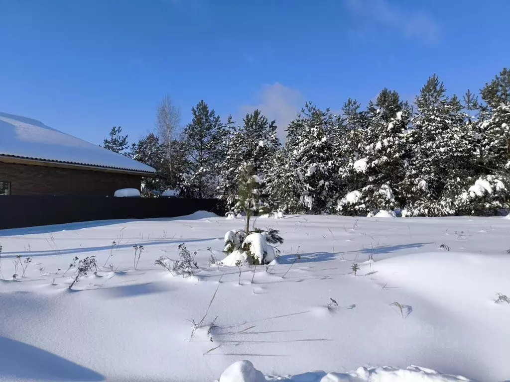 Участок в Московская область, Раменский муниципальный округ, с. ... - Фото 1