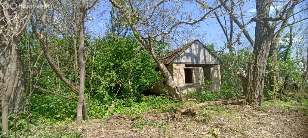 Участок в станица Рождественская, улица Дружбы, 46 (10 м) - Фото 1