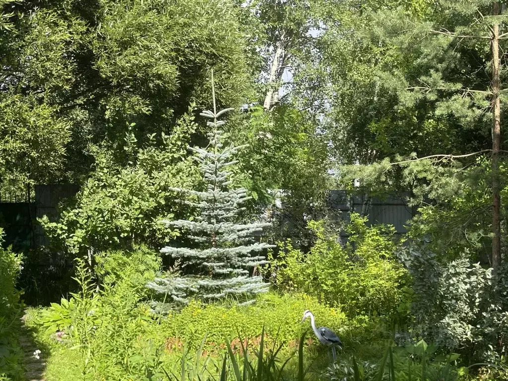 Дом в Московская область, Щелково городской округ, Синеглазка СНТ 20 ... - Фото 2
