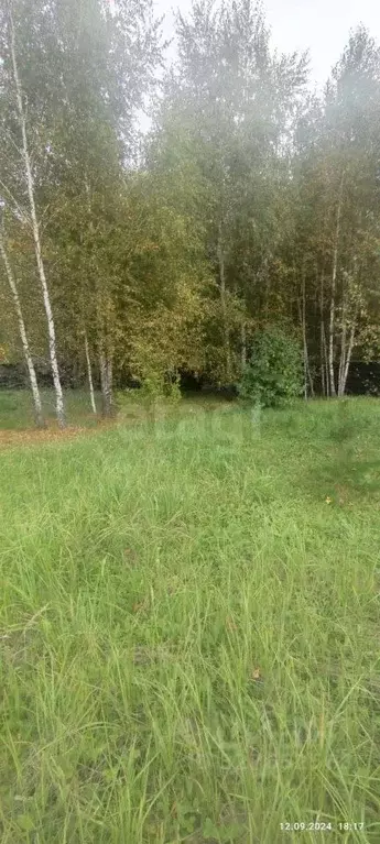 Участок в Тульская область, Заокский район, Малаховское с/пос, ... - Фото 1