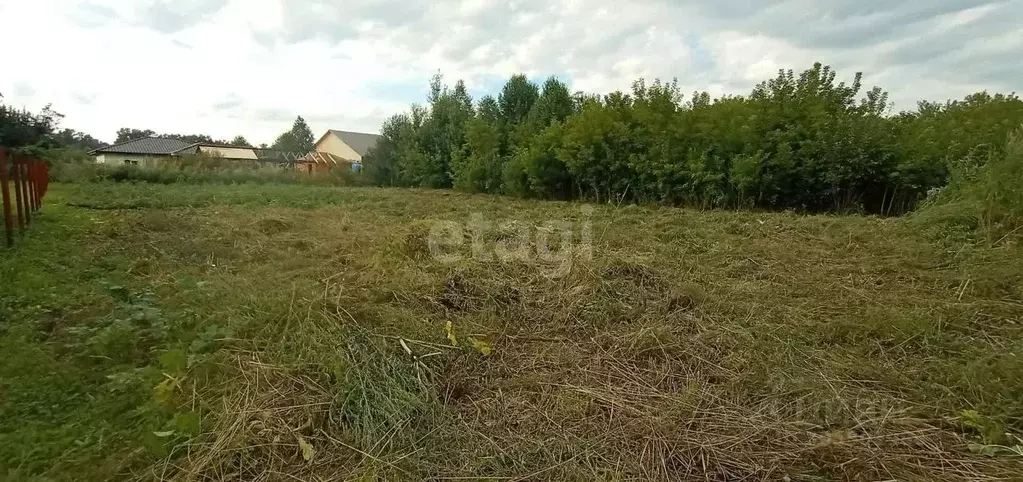 участок в алтай, майминский район, с. майма ул. согласия (10.0 сот.) - Фото 0