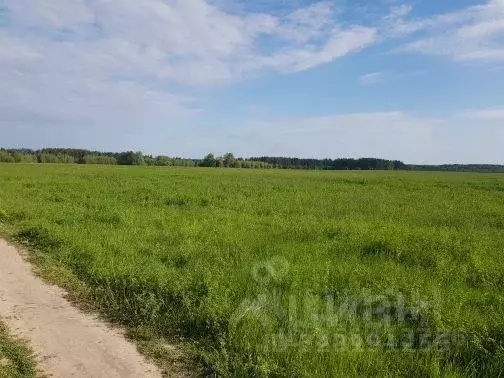 Участок в Башкортостан, Уфимский район, Булгаковский сельсовет, Урал ... - Фото 1