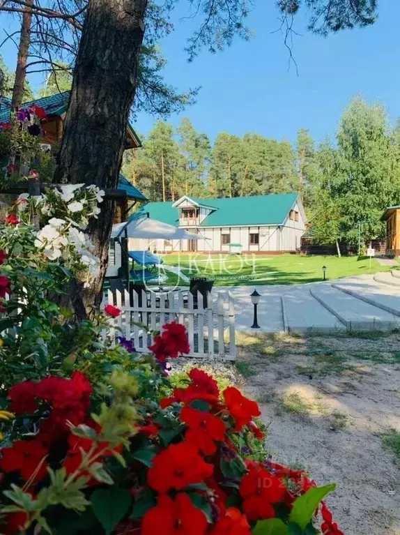 Помещение свободного назначения в Чувашия, Чебоксары городской округ, ... - Фото 1