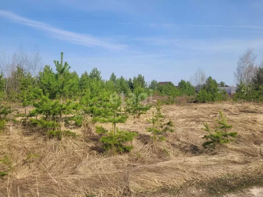 Участок в Владимирская область, Муром с. Ковардицы, ул. Каштановая ... - Фото 0