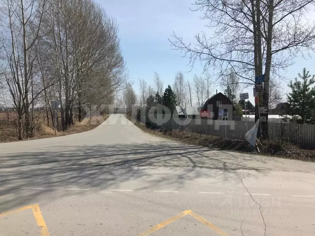 Участок в Новосибирская область, Новосибирский район, Кудряшовский ... - Фото 2