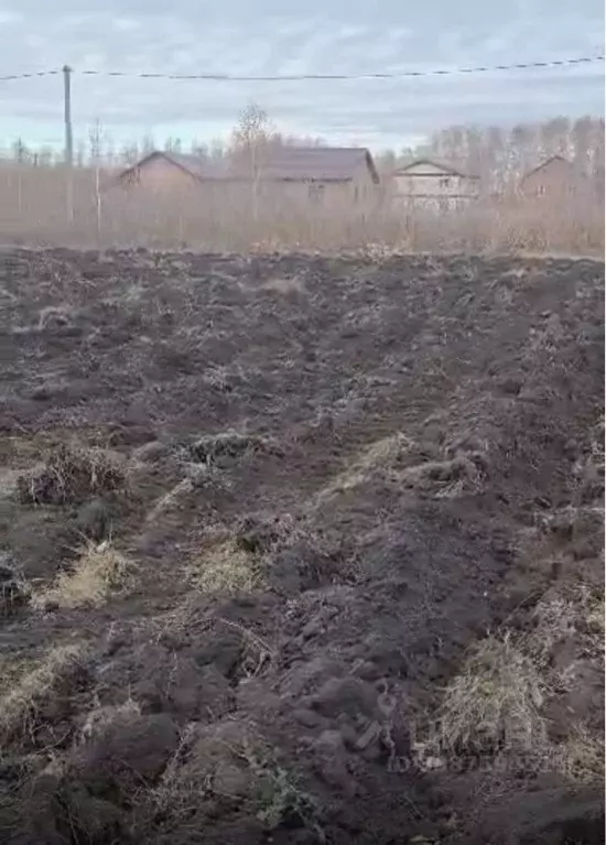 Участок в Омская область, Омский район, Магистральное с/пос, Деревня ... - Фото 1