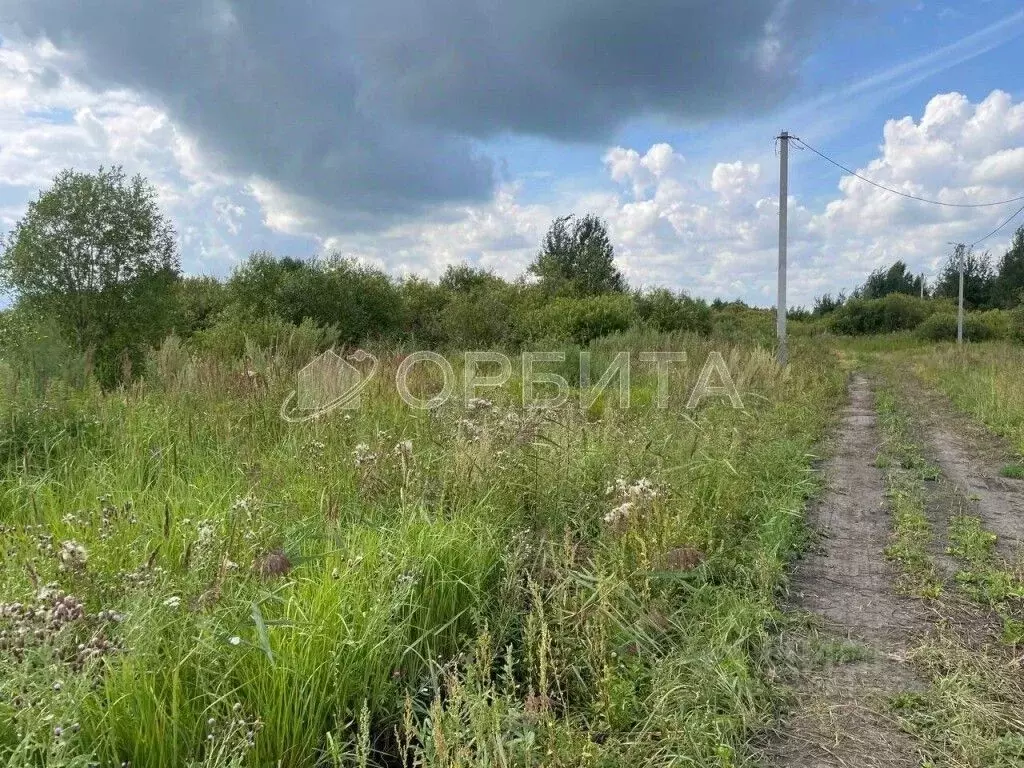 Участок в Тюменская область, Тюменский район, пос. Новотуринский  (7.0 ... - Фото 1