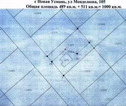 Участок в Воронежская область, с. Новая Усмань ул. Менделеева, 105 ... - Фото 1
