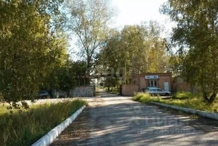 Помещение свободного назначения в Новосибирская область, Ордынский ... - Фото 1