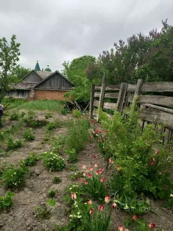 Участок в Белгородская область, Шебекинский муниципальный округ, с. ... - Фото 1