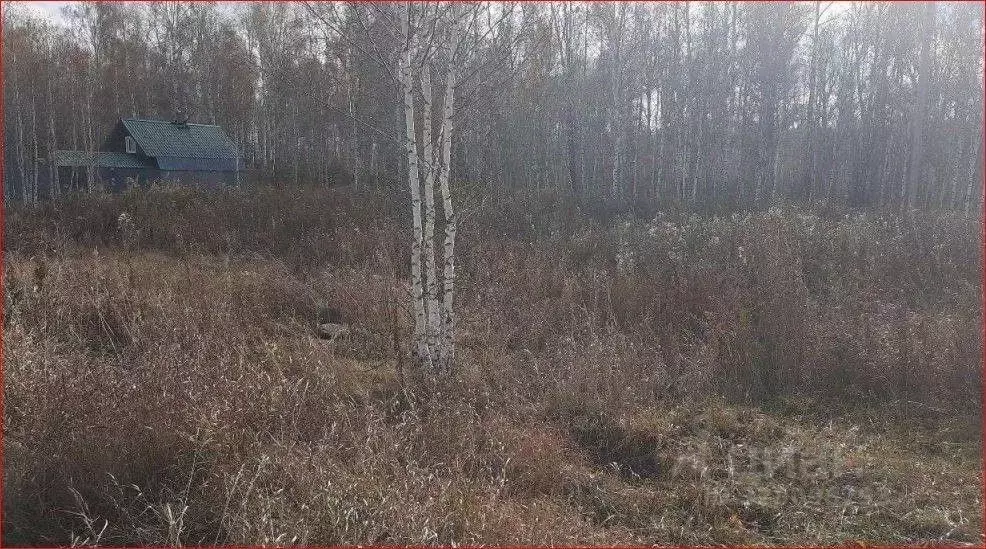 Участок в Челябинская область, Сосновский муниципальный округ, с. ... - Фото 1