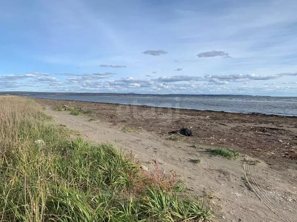Участок в Сахалинская область, Анивский городской округ, с. Песчанское ... - Фото 1