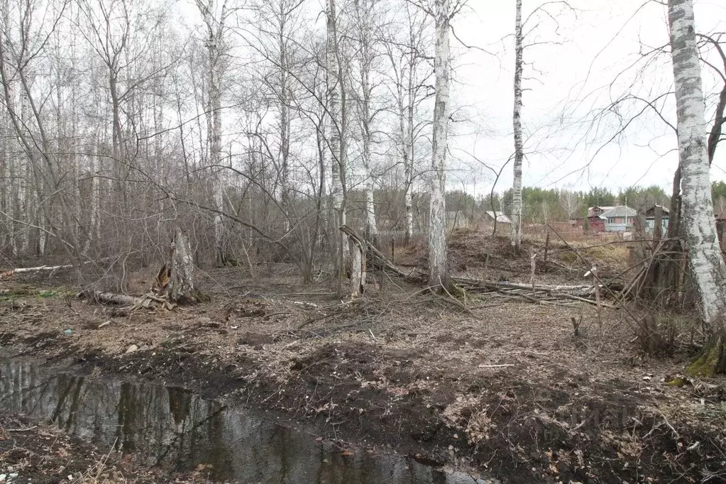 Участок в Свердловская область, Верхняя Пышма городской округ, пос. ... - Фото 1