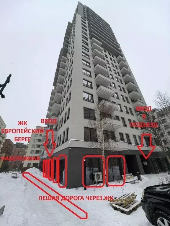 Помещение свободного назначения в Новосибирская область, Новосибирск ... - Фото 1