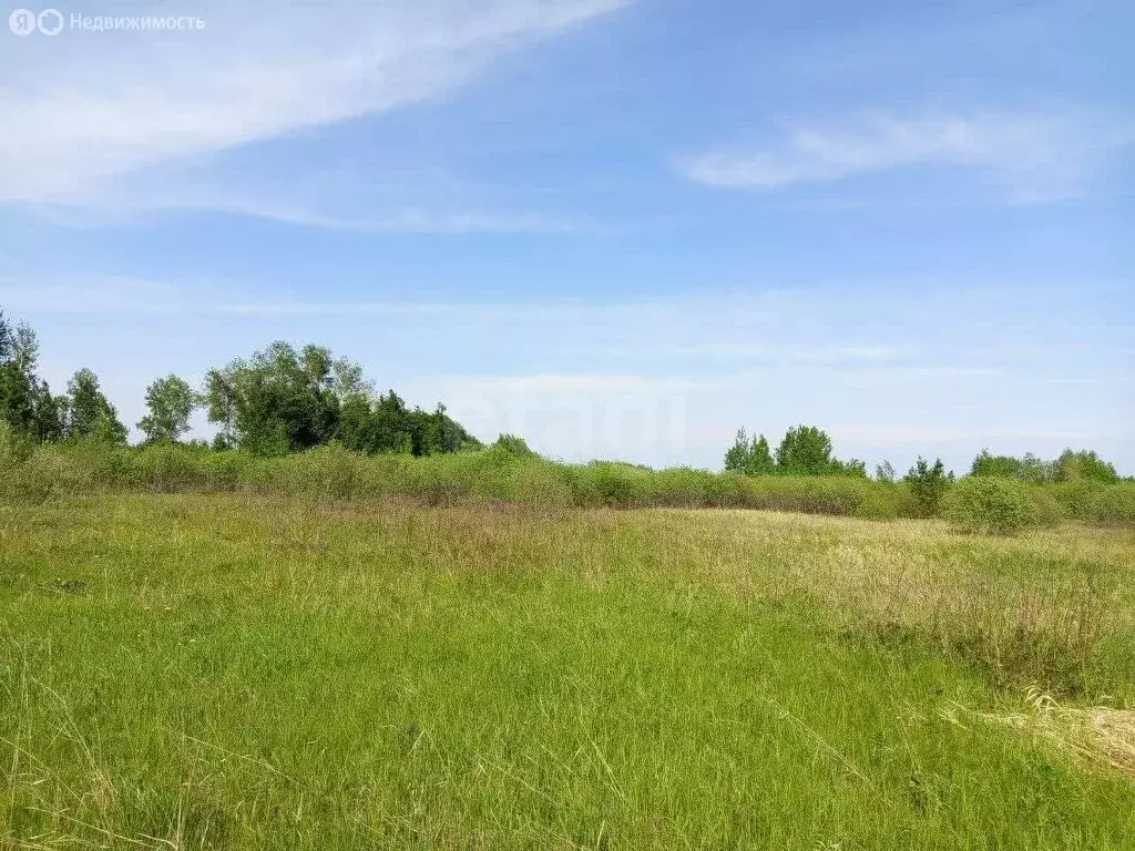 Участок в Тюменский район, село Борки (51.92 м) - Фото 1