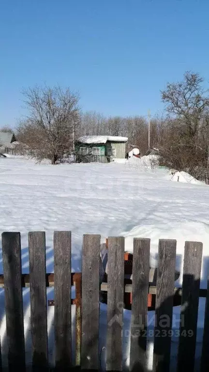 Дом в Вологодская область, Романтик садоводческое товарищество ул. ... - Фото 2