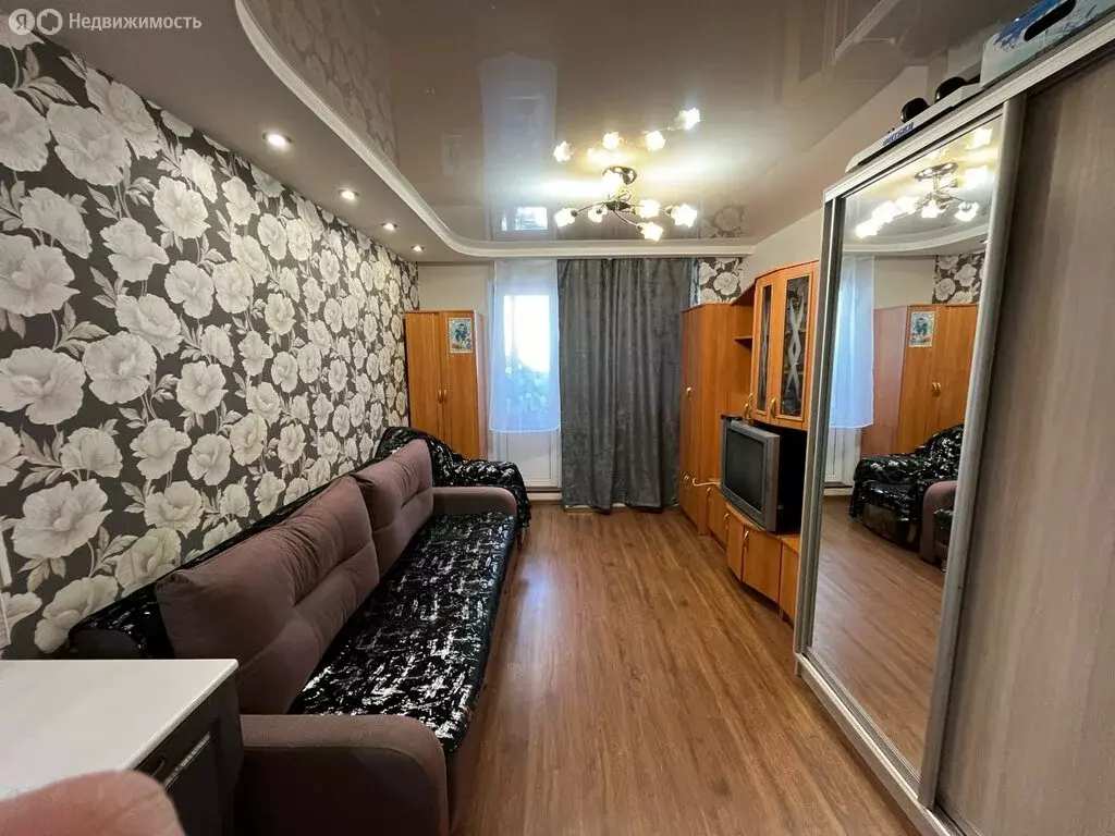 Квартира-студия: посёлок Садаковский, Московская улица, 53Б (25 м) - Фото 1