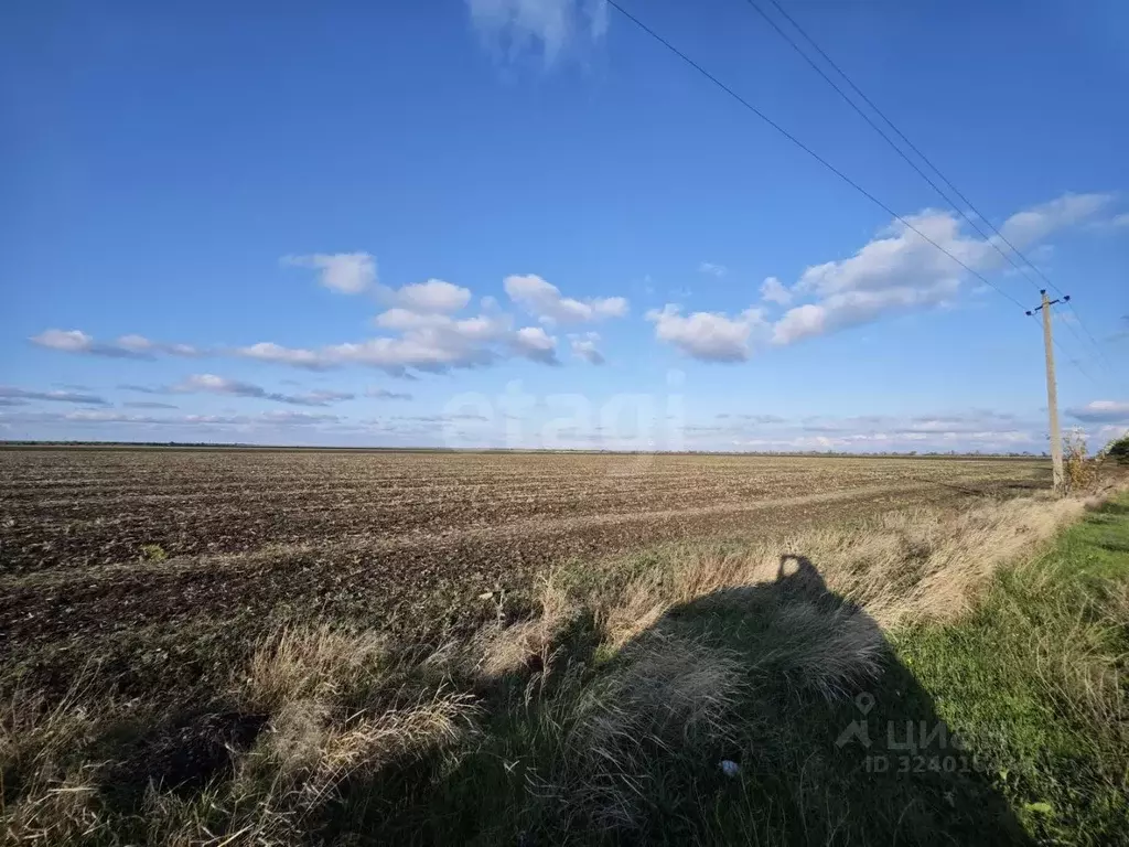 Участок в Крым, Сакский район, с. Сизовка  (499.0 сот.) - Фото 2