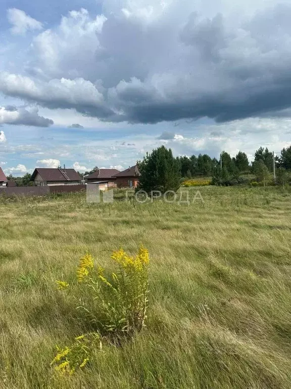 Участок в Алтайский край, Первомайский район, с. Фирсово, Рощино мкр ... - Фото 2