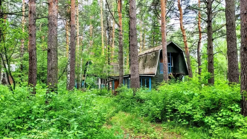 Участок в Новосибирск, 2-я Моховая улица (188 м) - Фото 2