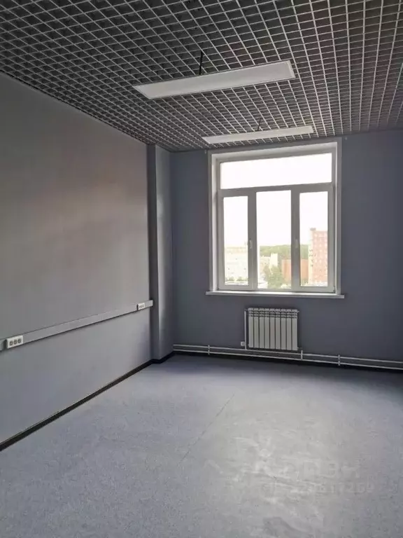Офис в Новосибирская область, Новосибирск ул. Николаева, 11/5 (24 м) - Фото 1