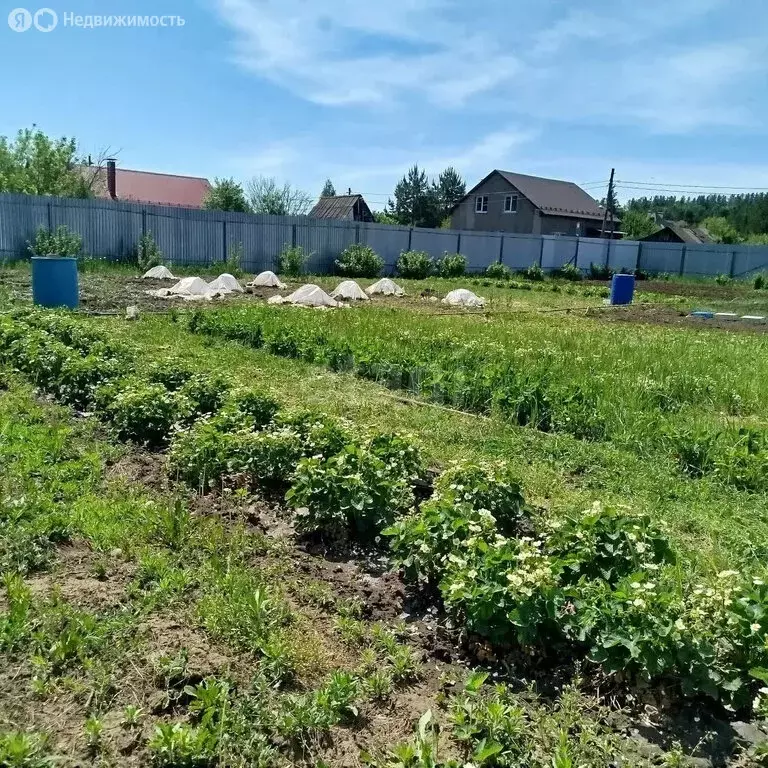 Участок в сельское поселение Новый Буян, СДТ Сосновый Бор (10 м) - Фото 2
