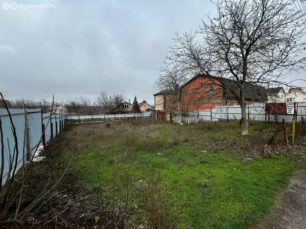 Участок в Мясниковский район, Краснокрымское сельское поселение, хутор ... - Фото 1