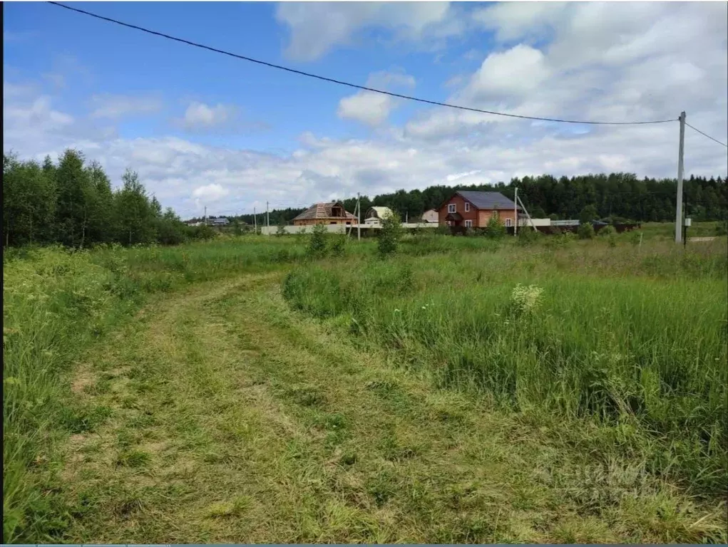 Участок в Владимирская область, Александровский муниципальный округ, ... - Фото 2