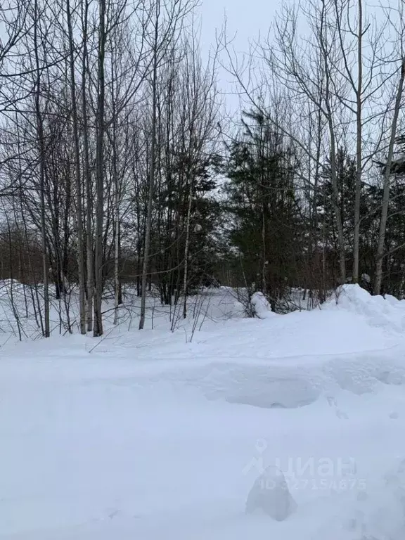 Участок в Нижегородская область, Богородский муниципальный округ, с. ... - Фото 2