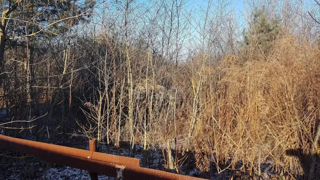 Участок в Липецкая область, Липецк Металлург-4 СНТ, ул. 31-я (6.0 ... - Фото 1