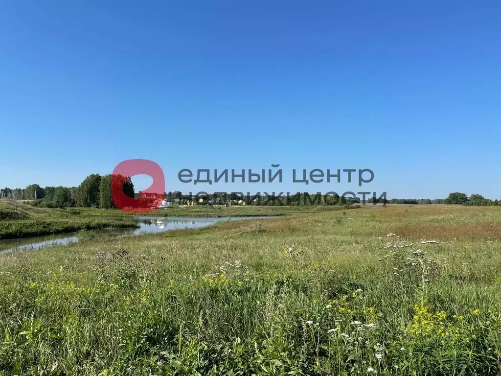 Участок в Тюменская область, Тюменский район, Новокаменский кп ул. ... - Фото 0