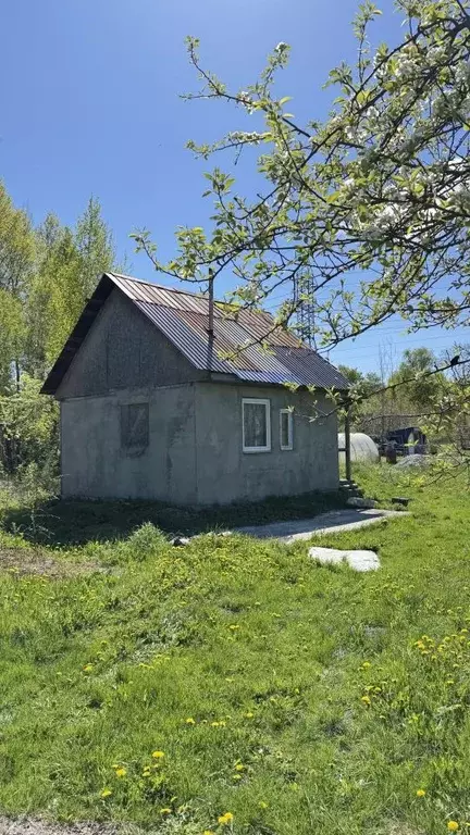 Участок в Калининградская область, Калининград Мелиоратор СНТ, ул. ... - Фото 1