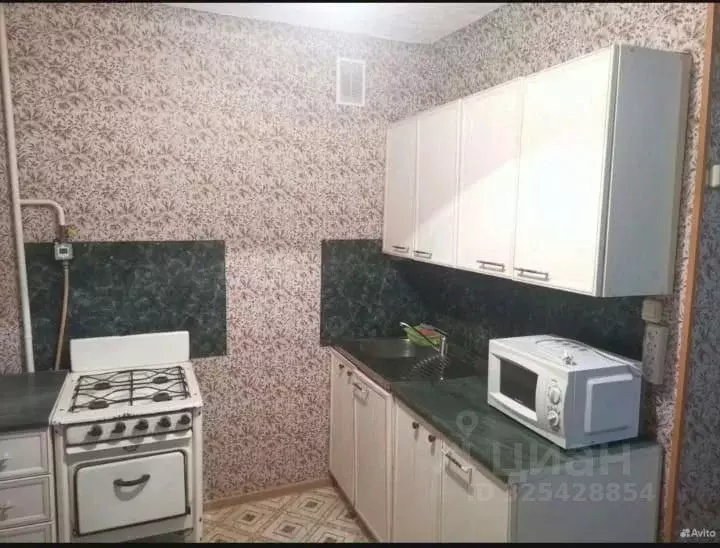 1-к кв. Алтайский край, Барнаул ул. Никитина, 59 (33.0 м) - Фото 2